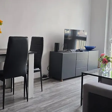 Lesny Zakatek Apartment *